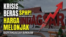 Krisis Beras SPHP di Bagansiapiapi: Harga Melonjak Drastis, Disperindagsar Bungkam