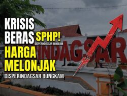 Krisis Beras SPHP di Bagansiapiapi: Harga Melonjak Drastis, Disperindagsar Bungkam