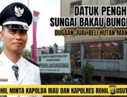 DATUK PENGHULU SUNGAI BAKAU BUNGKAM DUGAAN JUAL BELI HUTAN MANGROVE: KAMI ROHIL MINTA KAPOLDA RIAU DAN KAPOLRES ROHIL USUT TUNTAS