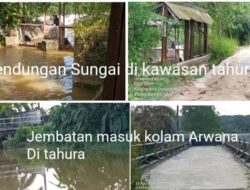 Penangkaran Arwana di Tahura SSH Dipertanyakan: Legalitas Ikan dan Kawasan Wajib Diuji Menyeluruh