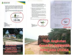 Heboh! MNI Dijolimi, KSO PKU Diduga Dibuat “Di Bawah Tangan” — Indikasi Maladministrasi Dibidik Polda Riau