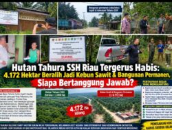 Hutan Tahura SSH Riau Tergerus Habis: 4 Ribuan Hektar Beralih Jadi Kebun Sawit & Bangunan Permanen, Siapa Bertanggung Jawab?