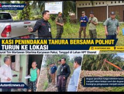 Luas 6.172 Hektar, Kawasan Tahura SSH II Ribuan Hektarnya Beralih Jadi Kebun Sawit — Ada Apa dengan Dinas LHK Provinsi Riau?