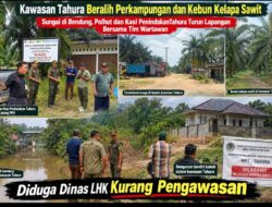 Empat Dekade Perlindungan, Batas Kawasan Masih Menyisakan Pertanyaan, Kawasan Tahura Minas Beralih Fungsi 