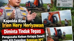 Kawasan HPT di Teluk Nilap, Diduga di Alih Fungsikan Puluhan Hektar Jadi Kebun Sawit — Kapolda Riau dan DLH Diminta Turun Tangan