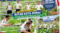 Perkuat Ketahanan Pangan, Rutan Dumai Kembali Panen Sayur Pakcoy dan Kangkung