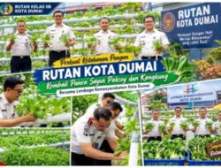 Perkuat Ketahanan Pangan, Rutan Dumai Kembali Panen Sayur Pakcoy dan Kangkung