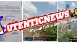Ratusan Hektar Hutan Mangrove Beralih Fungsi Menjadi Perkebunan Sawit di Rokan Hilir, SKGRT Diduga Dikeluarkan Secara Bermasalah oleh Kepenghuluan