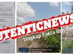 Ratusan Hektar Hutan Mangrove Beralih Fungsi Menjadi Perkebunan Sawit di Rokan Hilir, SKGRT Diduga Dikeluarkan Secara Bermasalah oleh Kepenghuluan