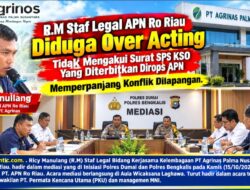 R.M Staf Legal APN Ro Riau Diduga Over Acting Tidak Mengakui Surat SPS KSO Yang Diterbitkan Dirops APN Memperpanjang Konflik Dilapangan