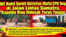 AWI Rohil Soroti Aktivitas Mafia CPO Ilegal di Jalan Lintas Sumatra, Kapolda Riau Didesak Turun Tangan