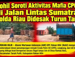 AWI Rohil Soroti Aktivitas Mafia CPO Ilegal di Jalan Lintas Sumatra, Kapolda Riau Didesak Turun Tangan