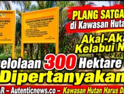 Diduga Plang Satgas Palsu di Kawasan Hutan Kampar: Akal-Akalan Kelabui Negara, Pengelolaan 300 Hektare Sawit Dipertanyakan